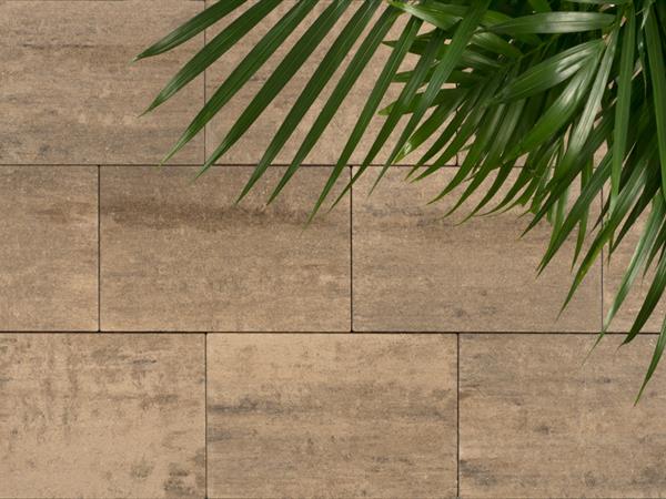 marmomocca_allurelinea_002