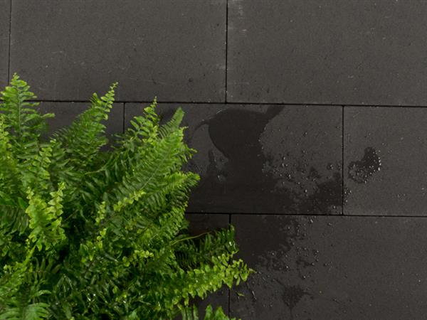 noche_allurelinea_005