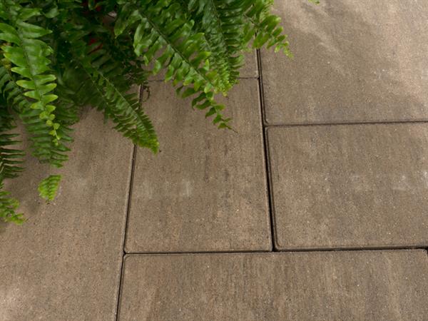 marmomocca_allurefacettawildverband_001