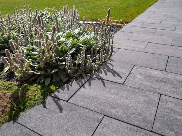 Ideeën/inspiratie | Façade Beton