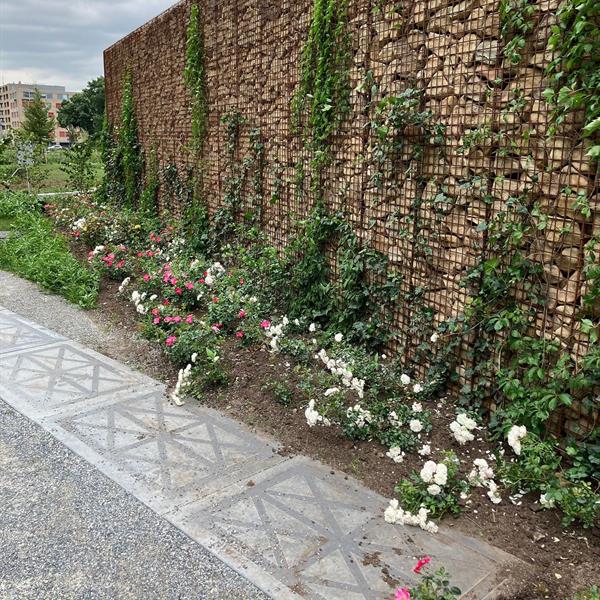 Zuiderplantsoen Groningen | Façade Beton