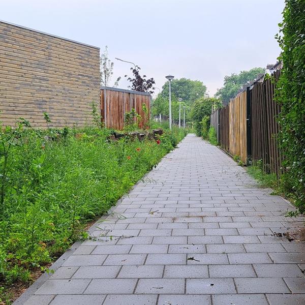Herinrichting Pieter Poststraat e.o. in de wijk Caberg Maastricht | Façade Beton