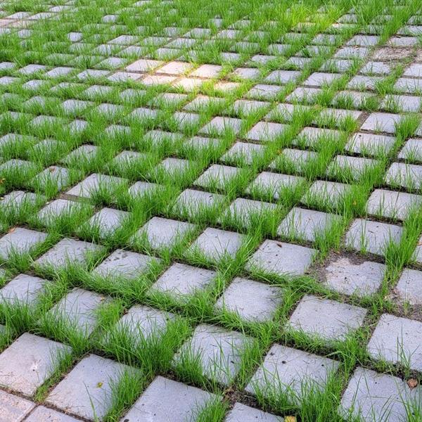 Klimaat adaptieve bestratingen, Verde Flor toegepast in Wessem | Façade Beton