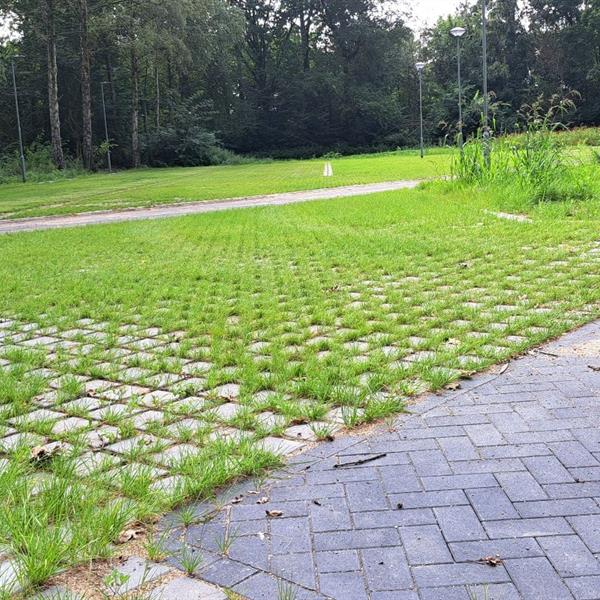 Klimaat adaptieve bestratingen, Verde Flor toegepast in Wessem | Façade Beton