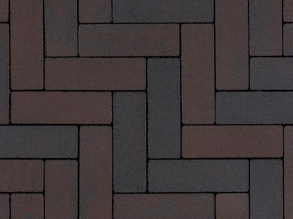 ceranuevalineadfmalva