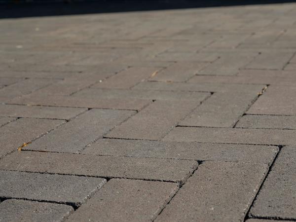 dfceranuevamalvawoonhuis6kopie