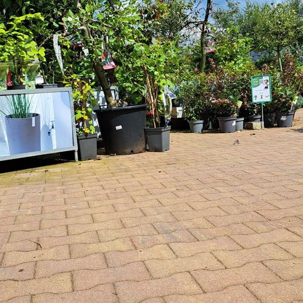 H-profielbestrating voor Intratuin | Façade Beton