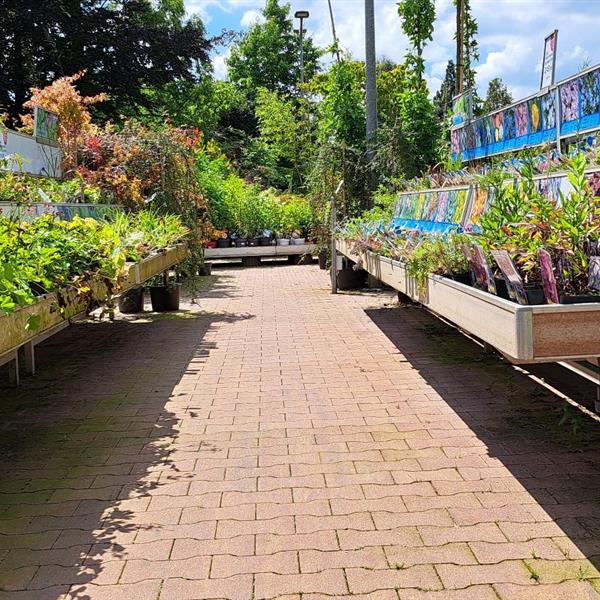 H-profielbestrating voor Intratuin | Façade Beton