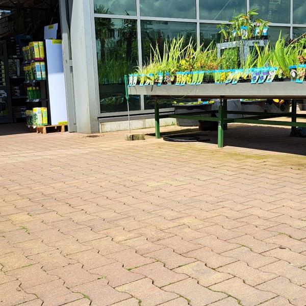 H-profielbestrating voor Intratuin | Façade Beton