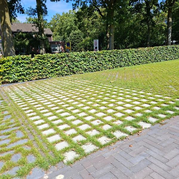 Demonstratievakken klimaat adaptieve bestratingen | Façade Beton