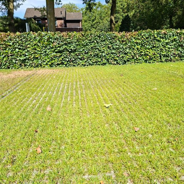 Demonstratievakken klimaat adaptieve bestratingen | Façade Beton