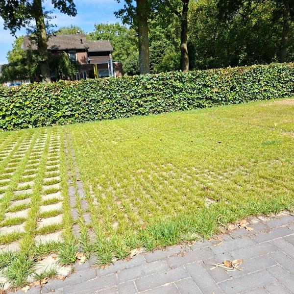 Demonstratievakken klimaat adaptieve bestratingen | Façade Beton