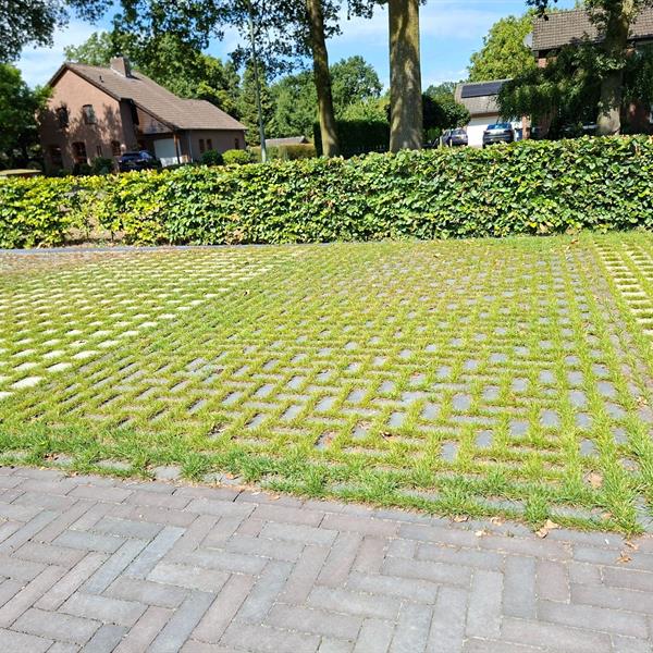 Demonstratievakken klimaat adaptieve bestratingen | Façade Beton