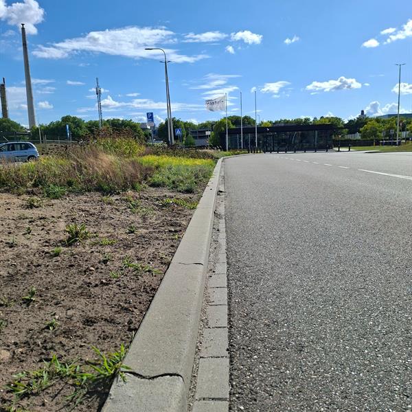 Chemelot Gate 1 realisatie 4 jaar later | Façade Beton