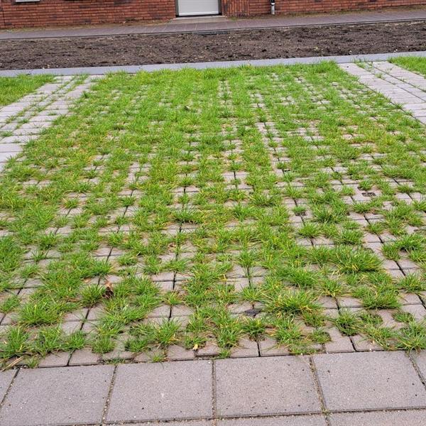 Speciale artikelen geleverd voor 2 projectontwikkelingen | Façade Beton